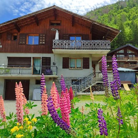 Appartement Meuble Classe 3 Etoiles De 72 M2, 2 Chambres Morzine Zewnętrze zdjęcie
