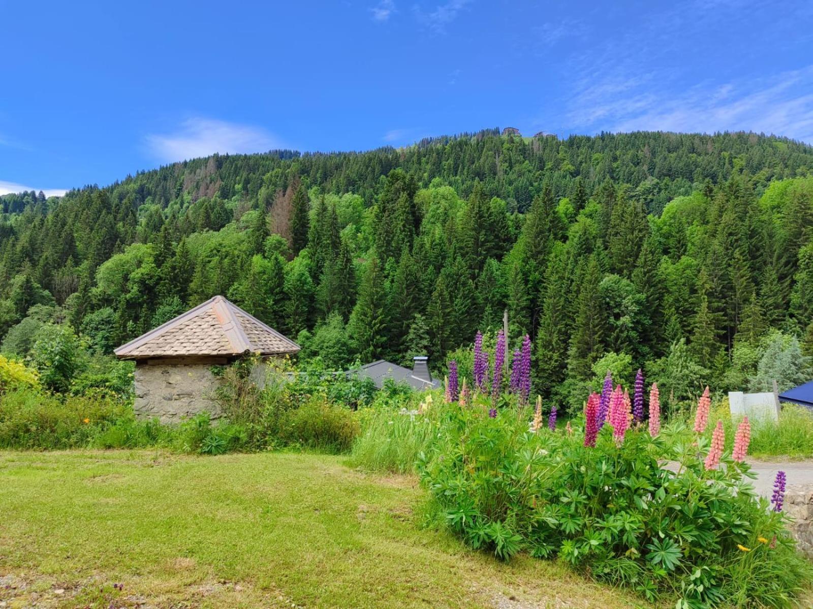 Appartement Meuble Classe 3 Etoiles De 72 M2, 2 Chambres Morzine Zewnętrze zdjęcie